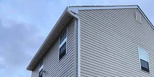 Best Historical Building Siding Restoration  in Mclendon Chisholm, TX